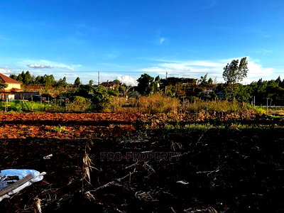 Prime Residential Plot (100 by 100 Fts) in Kikuyu ,Gikambura - Image 16