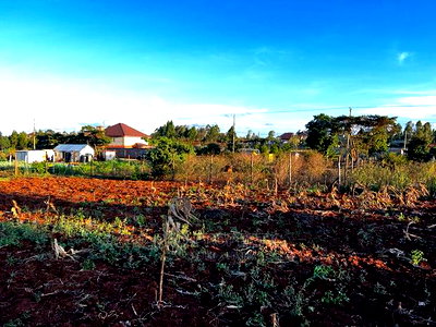Prime Residential Plot (100 by 100 Fts) in Kikuyu ,Gikambura - Image 8