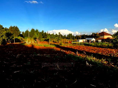 Prime Residential Plot (100 by 100 Fts) in Kikuyu ,Gikambura - Image 4