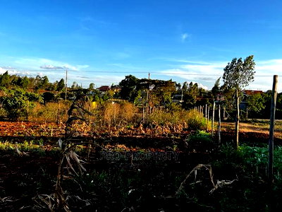 Prime Residential Plot (100 by 100 Fts) in Kikuyu ,Gikambura - Image 3
