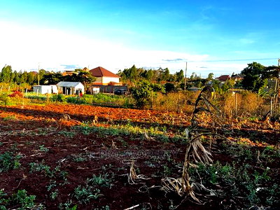 Prime Residential Plot (100 by 100 Fts) in Kikuyu ,Gikambura - Image 9