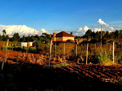 Prime Residential Plot (100 by 100 Fts) in Kikuyu ,Gikambura - Image 7