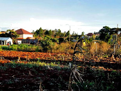 Prime Residential Plot (100 by 100 Fts) in Kikuyu ,Gikambura - Image 1