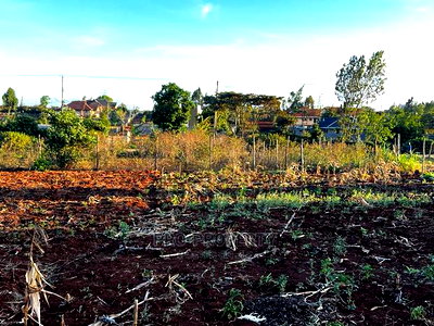 Prime Residential Plot (100 by 100 Fts) in Kikuyu ,Gikambura - Image 10