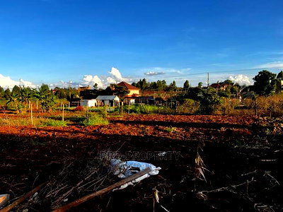 Prime Residential Plot (100 by 100 Fts) in Kikuyu ,Gikambura - Image 14
