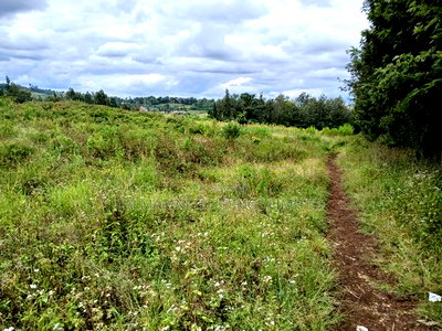 Near Half Acre (0.150ha) Redsoil in Upper Matasia, Kaurrai - Image 1