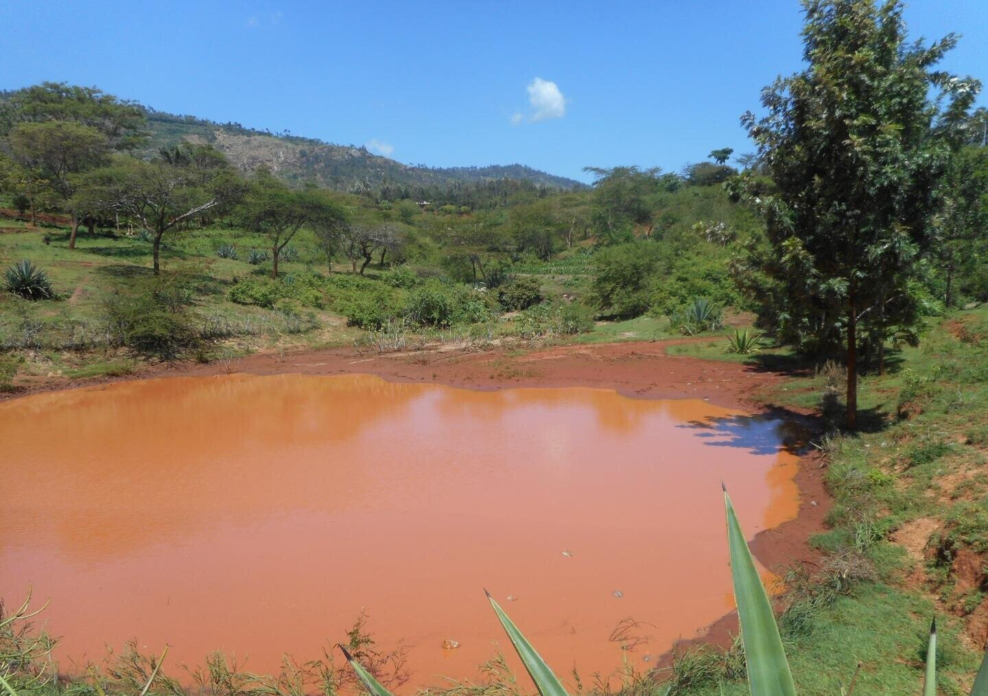 2-Acre Garden Plot in Machakos Town