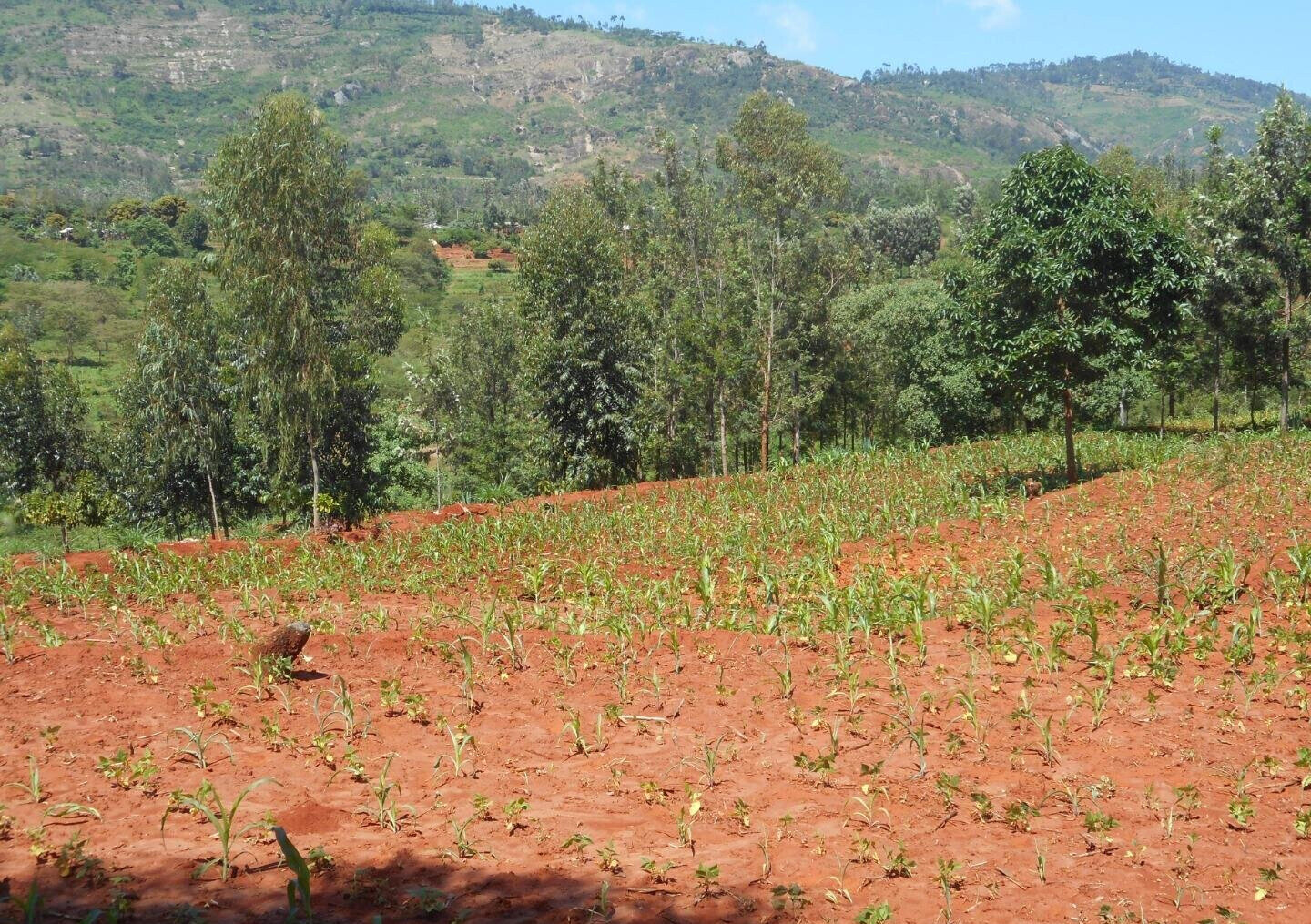 2-Acre Garden Plot in Machakos Town