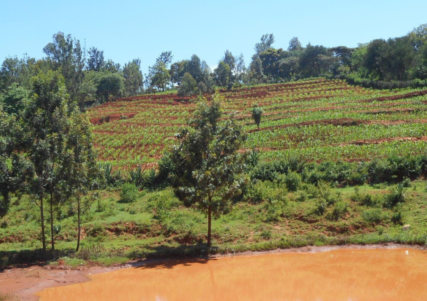 2-Acre Garden Plot in Machakos Town