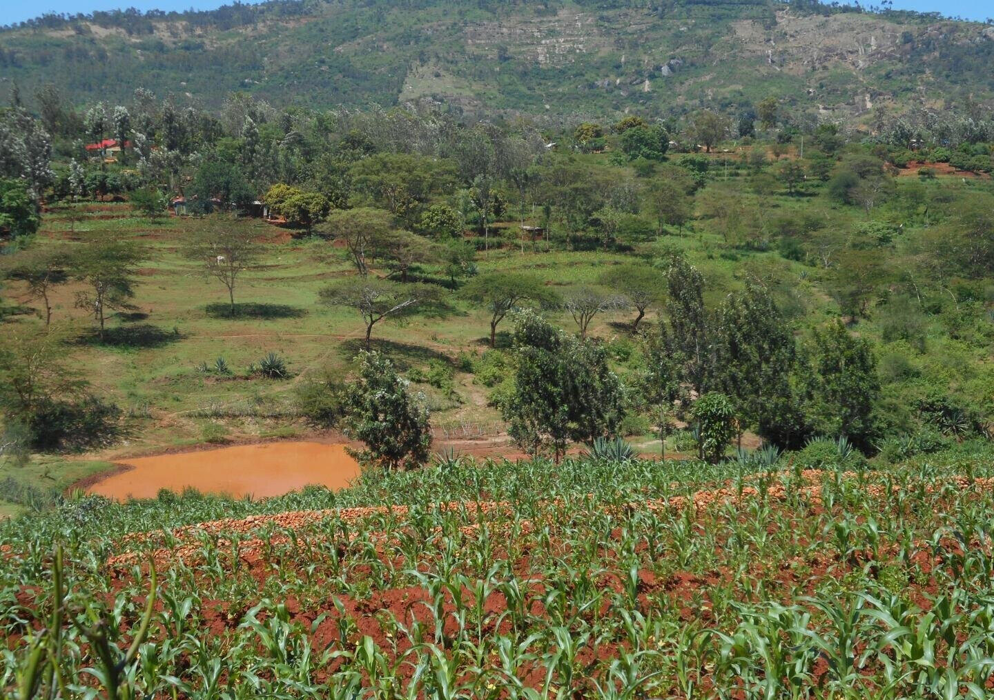 2-Acre Garden Plot in Machakos Town