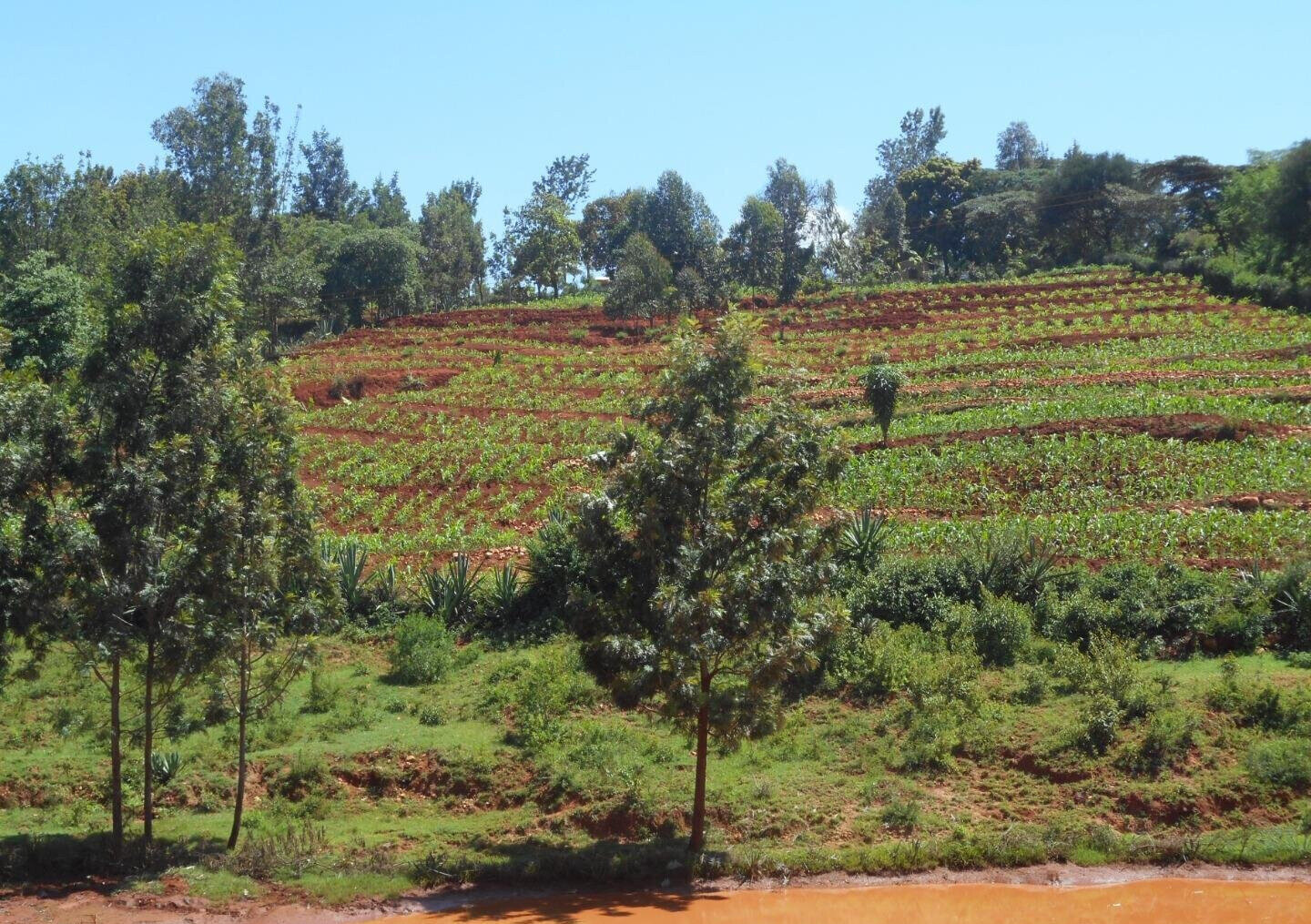 2-Acre Garden Plot in Machakos Town