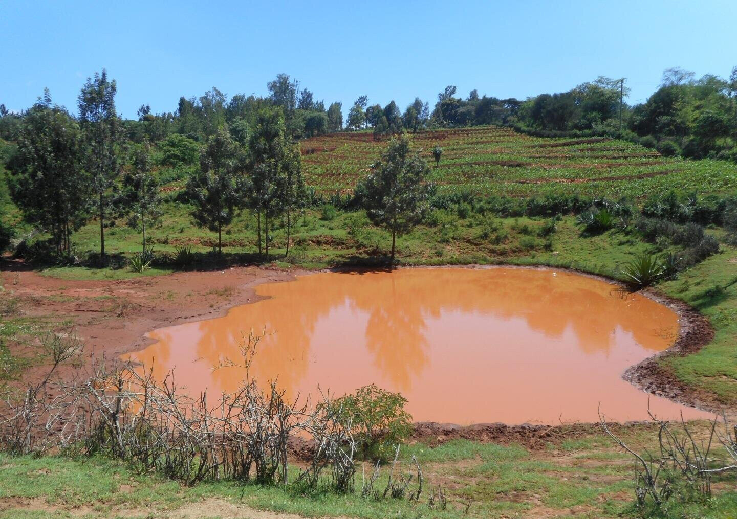 2-Acre Garden Plot in Machakos Town