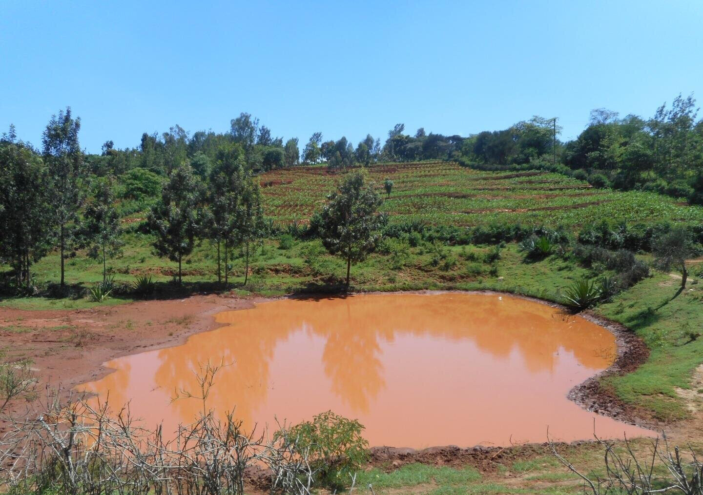 2-Acre Garden Plot in Machakos Town