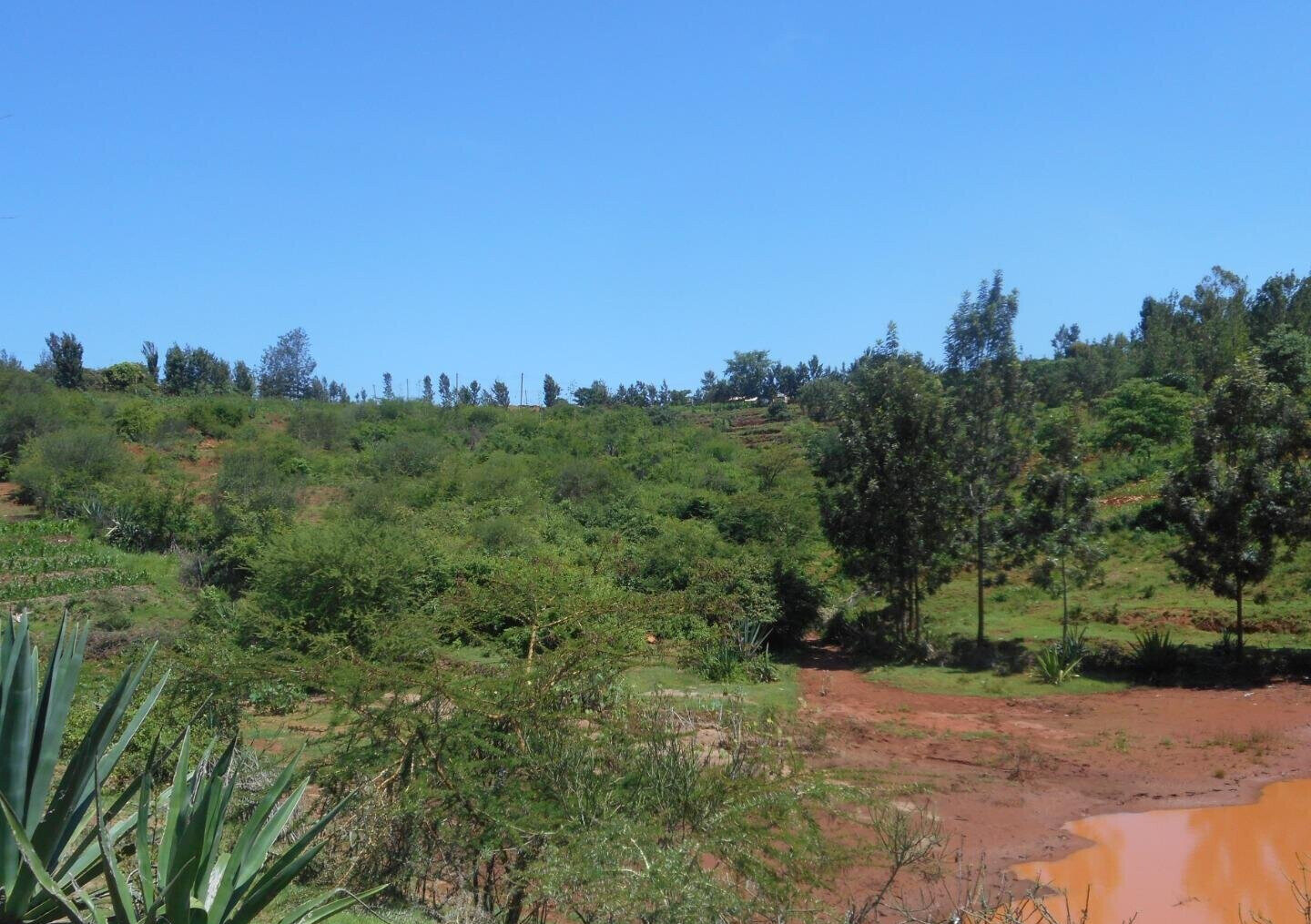 2-Acre Garden Plot in Machakos Town