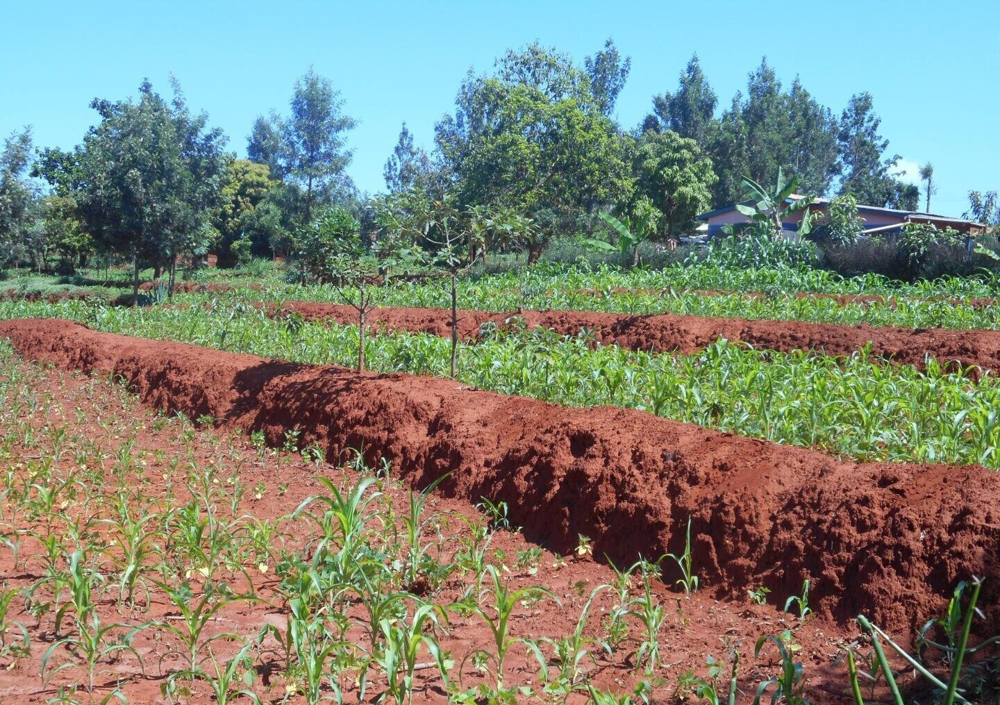 2-Acre Garden Plot in Machakos Town