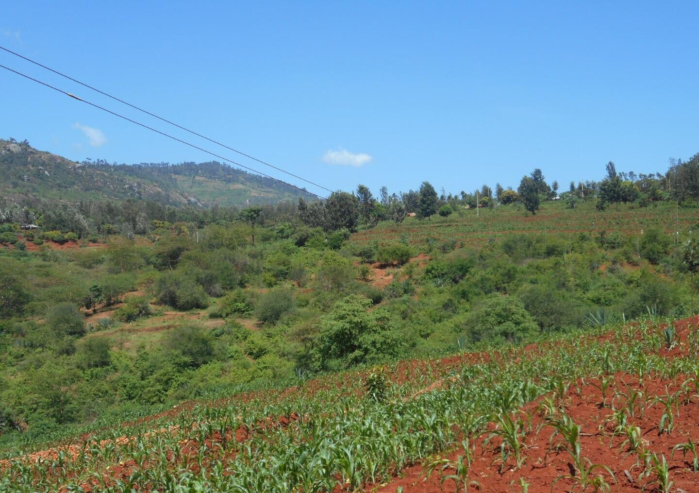2-Acre Garden Plot in Machakos Town