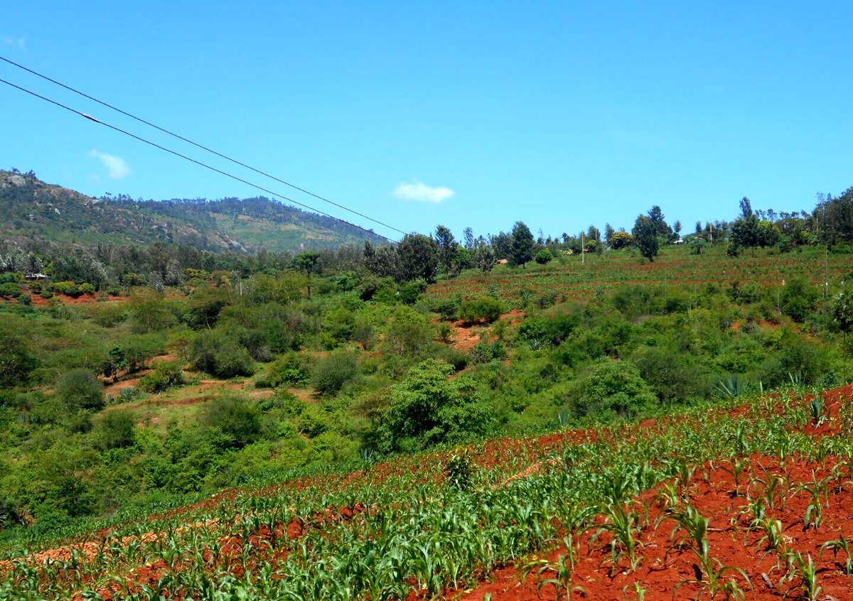 2-Acre Garden Plot in Machakos Town