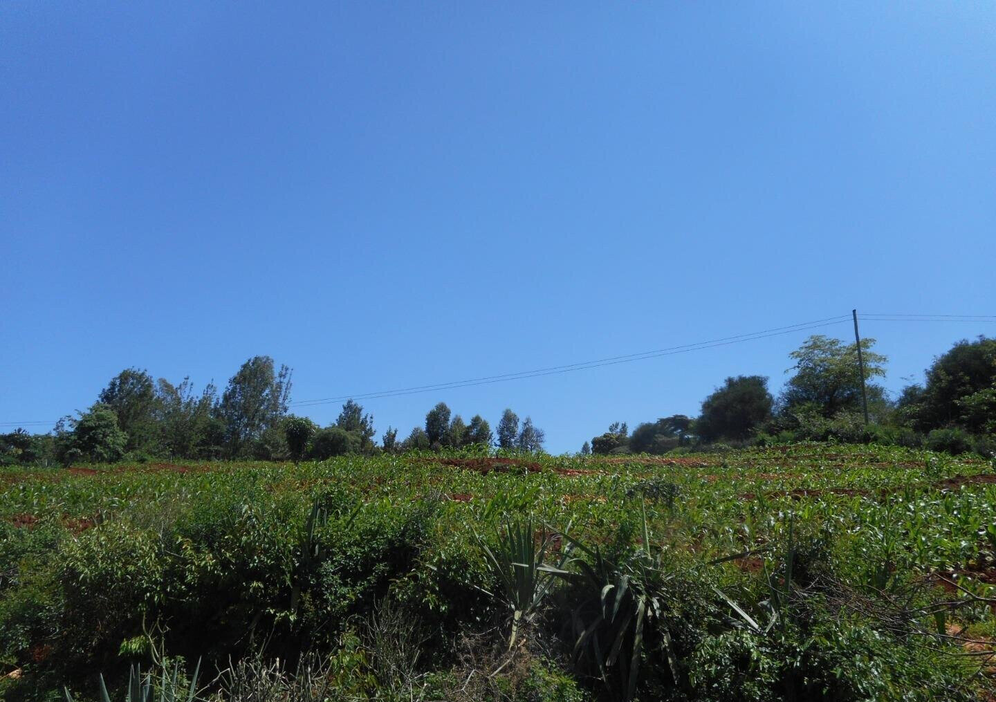 2-Acre Garden Plot in Machakos Town