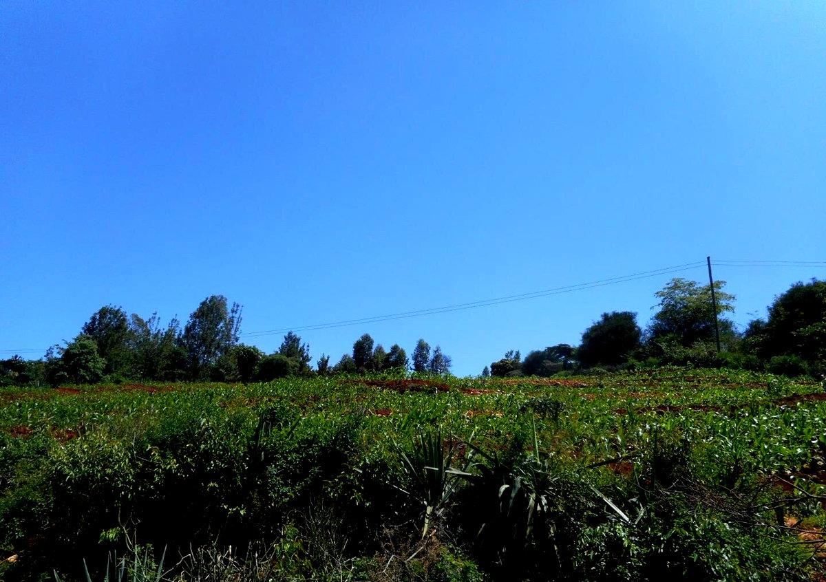 2-Acre Garden Plot in Machakos Town