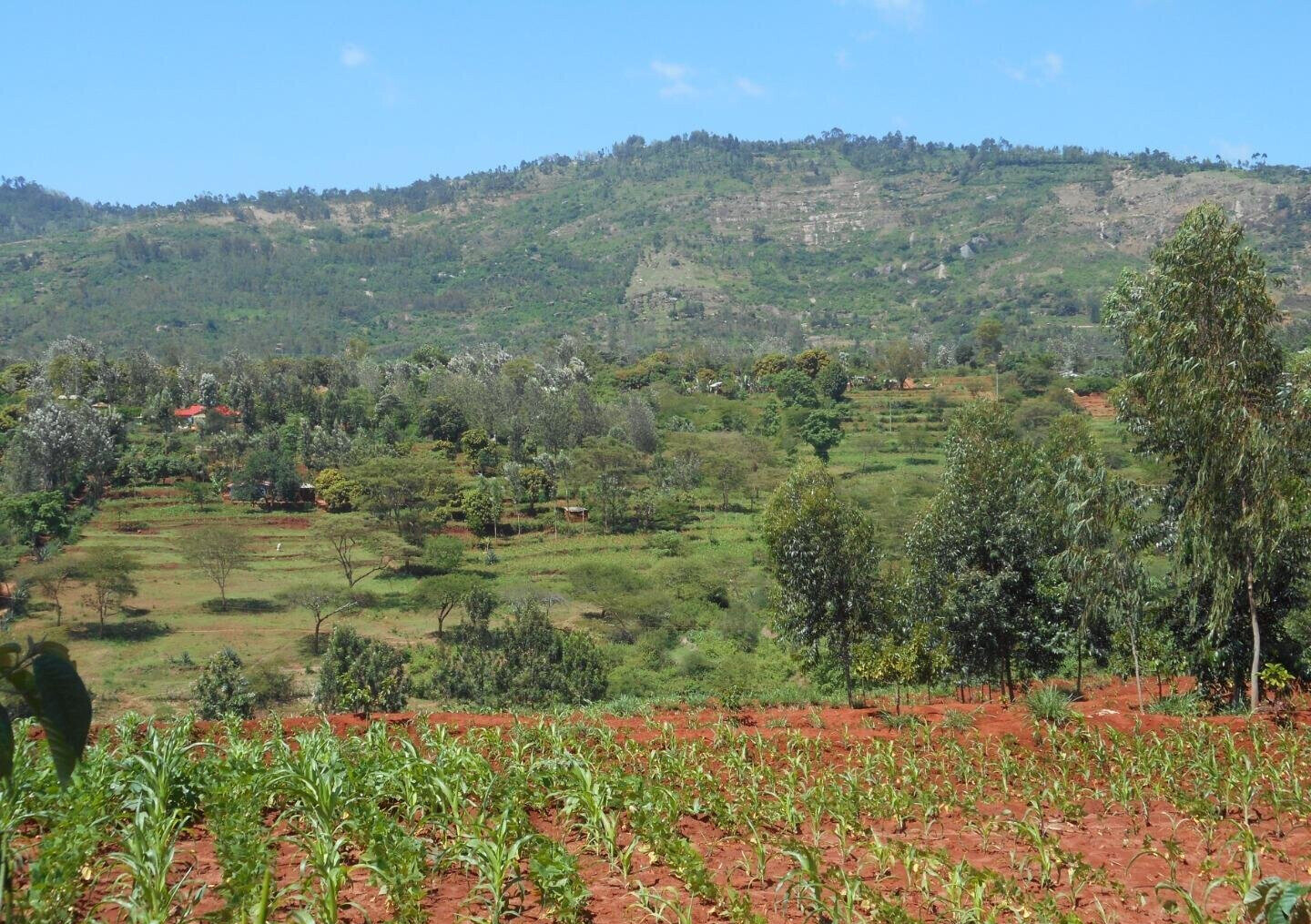 2-Acre Garden Plot in Machakos Town