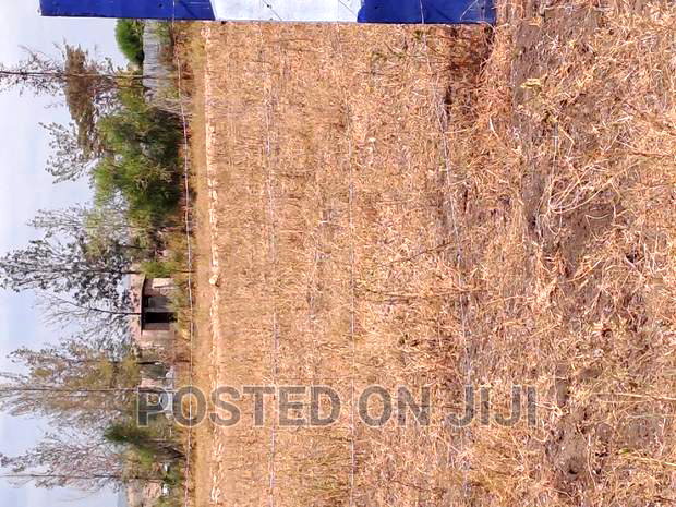 Prestige Gardens Phase 2 Kamulu With Ready Title at Mw^