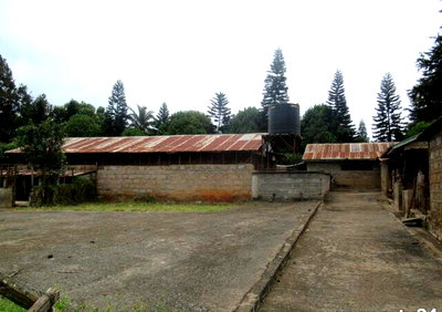 3-Acre Farm with Garden in Limuru