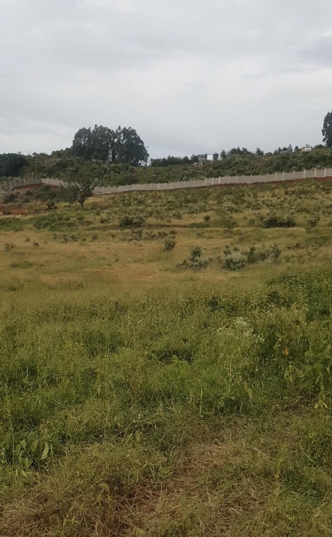 KSh 2.8M Controlled Plot in Ngong