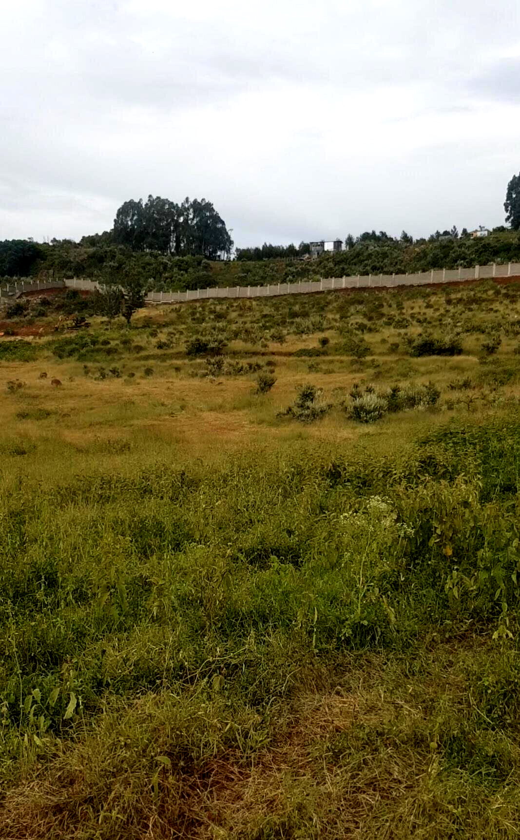 KSh 2.8M Controlled Plot in Ngong