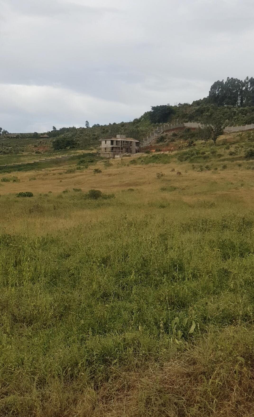 KSh 2.8M Controlled Plot in Ngong