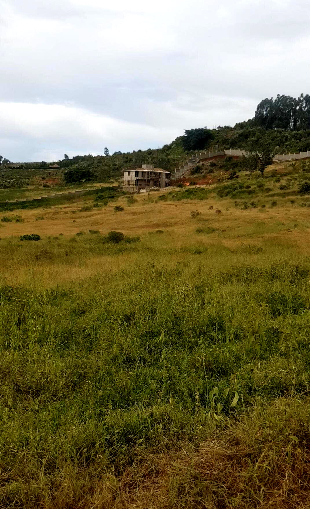 KSh 2.8M Controlled Plot in Ngong