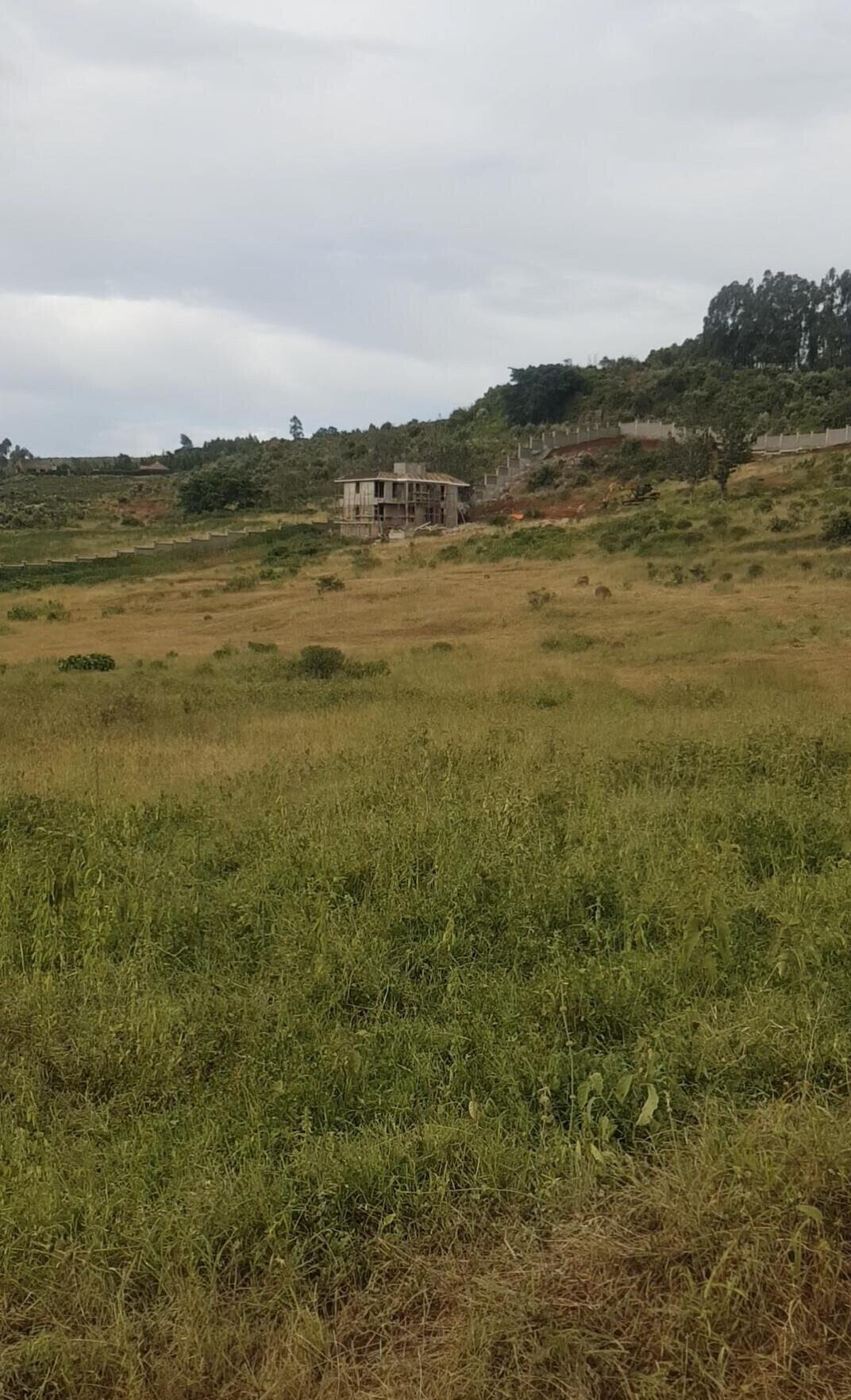 KSh 2.8M Controlled Plot in Ngong