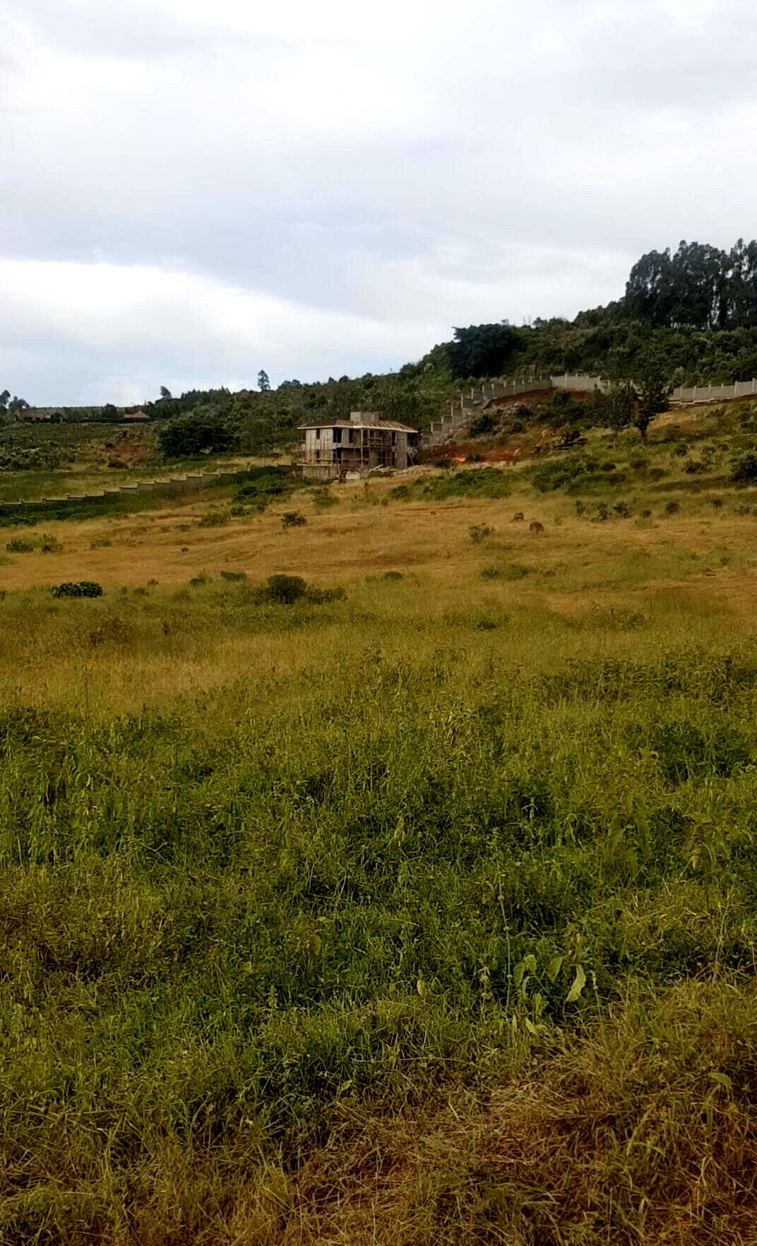 KSh 2.8M Controlled Plot in Ngong