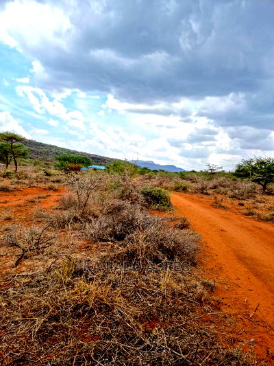 12 Acres Saikeri at 800k Per Acre - Image 5