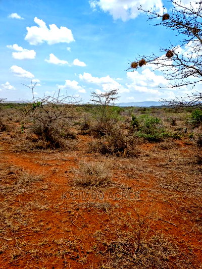 12 Acres Saikeri at 800k Per Acre - Image 4