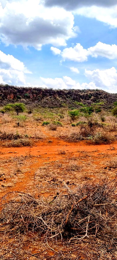 12 Acres Saikeri at 800k Per Acre - Image 3