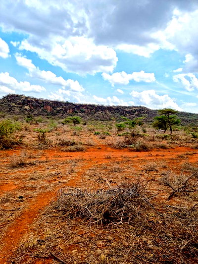 12 Acres Saikeri at 800k Per Acre - Image 1