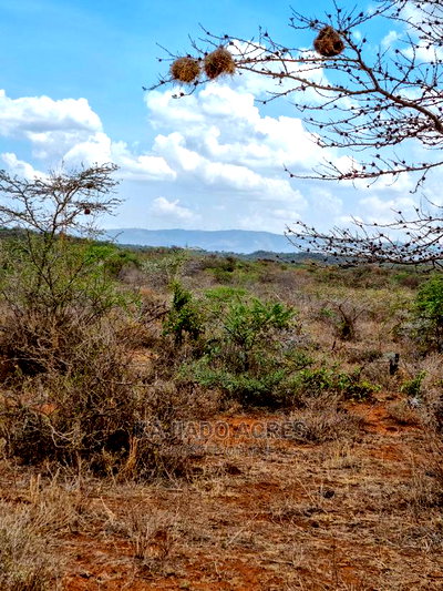 12 Acres Saikeri at 800k Per Acre - Image 2