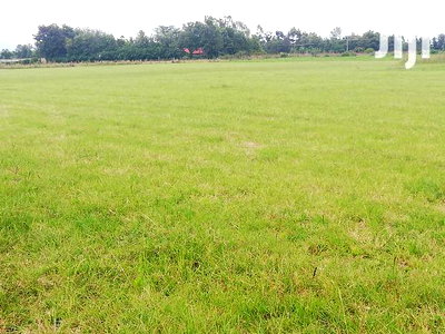 Superb Plots Fronting the Sobea - Njoro Tarmac for Sale. - Image 5