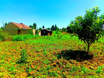 Residential Plot On Quick Sale In Kikuyu, Kamangu! - Image 6