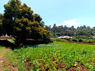 Residential Plot for Sale in Kikuyu, Ondiri - Image 10