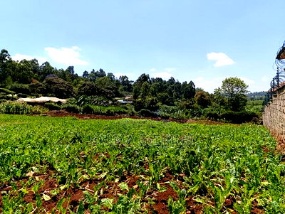 Residential Plot for Sale in Kikuyu, Ondiri - Image 9