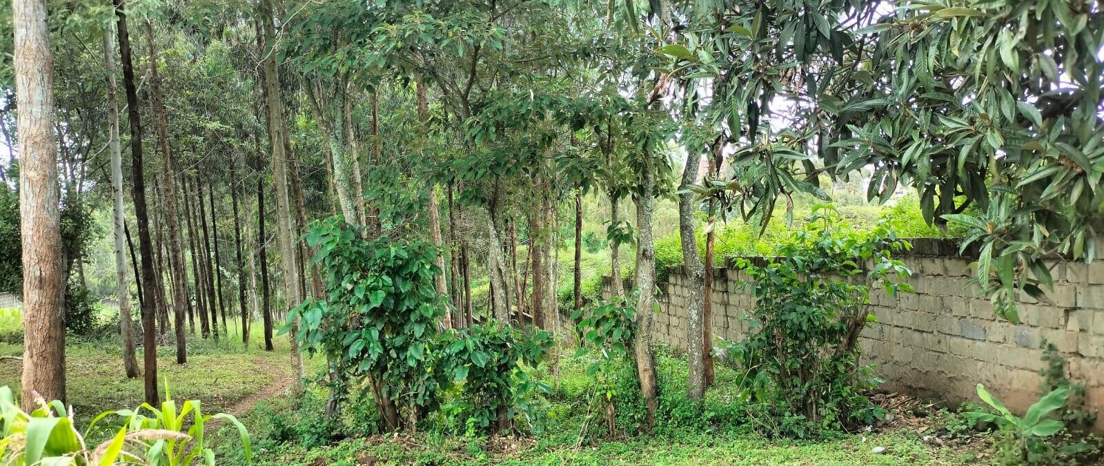 2.5-Acre Land for KSh 50M