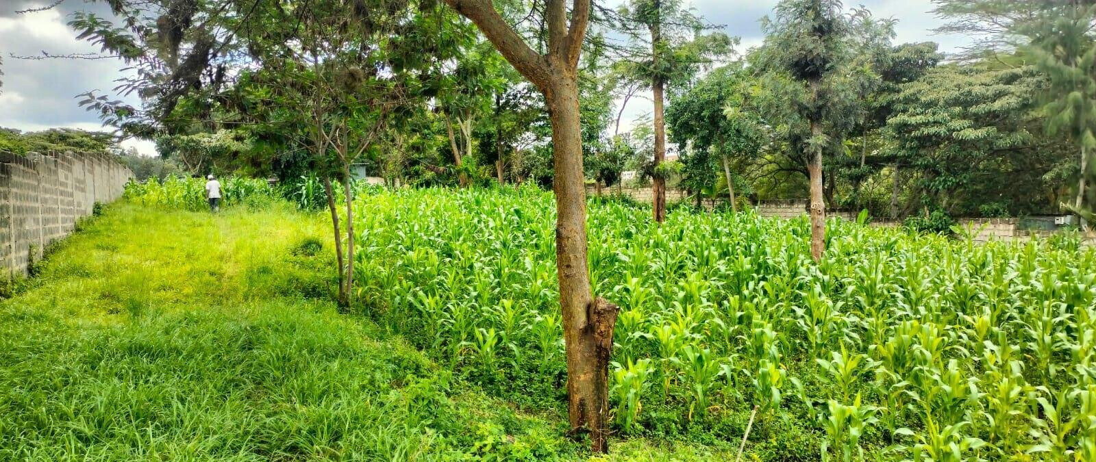 2.5-Acre Land for KSh 50M