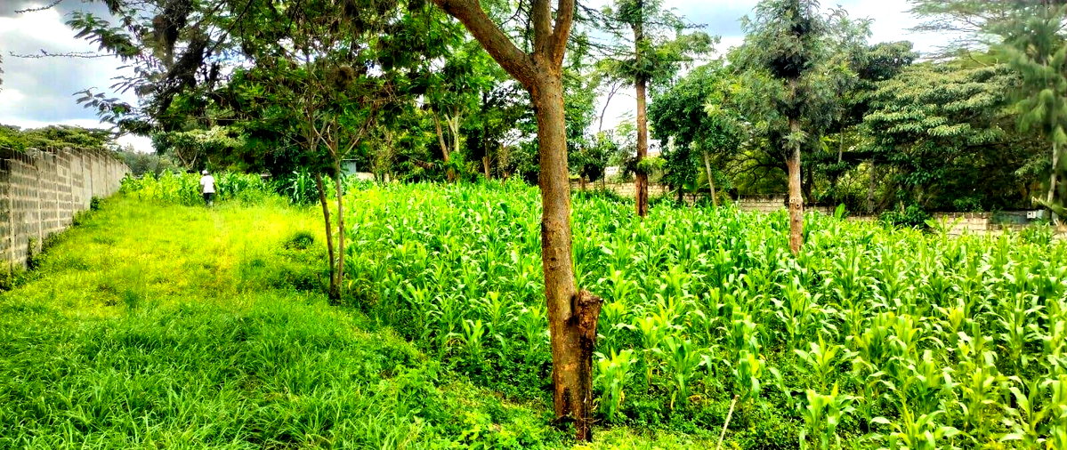 2.5-Acre Land for KSh 50M