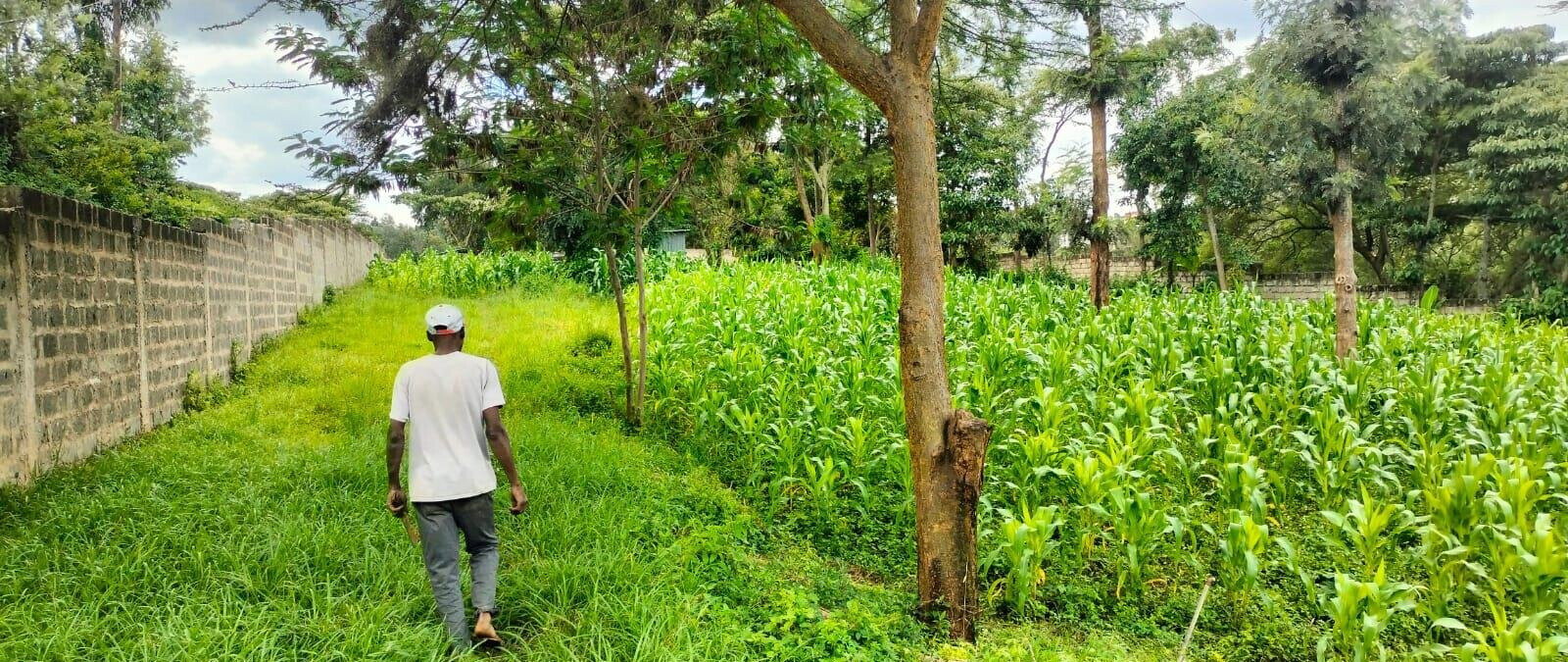 2.5-Acre Land for KSh 50M