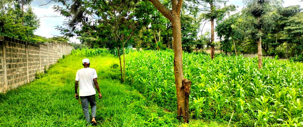 2.5-Acre Land for KSh 50M