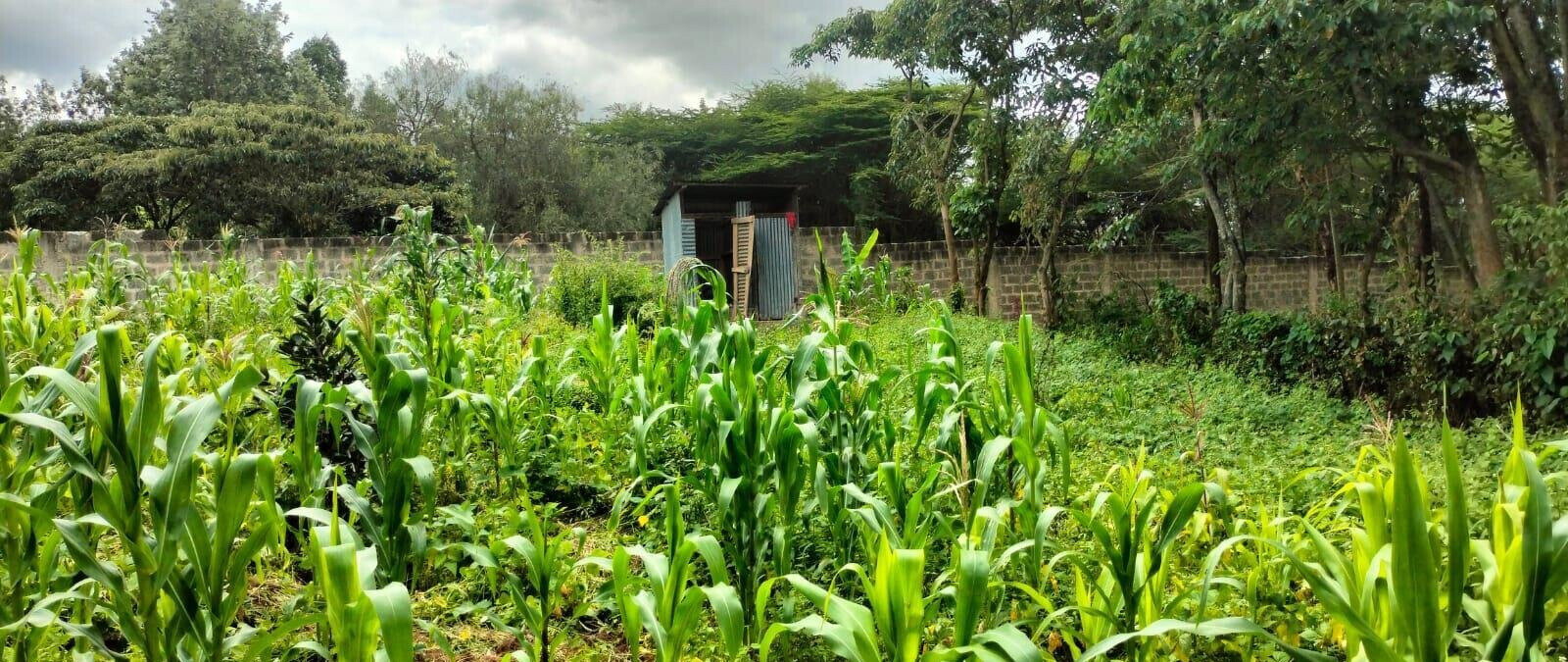2.5-Acre Land for KSh 50M
