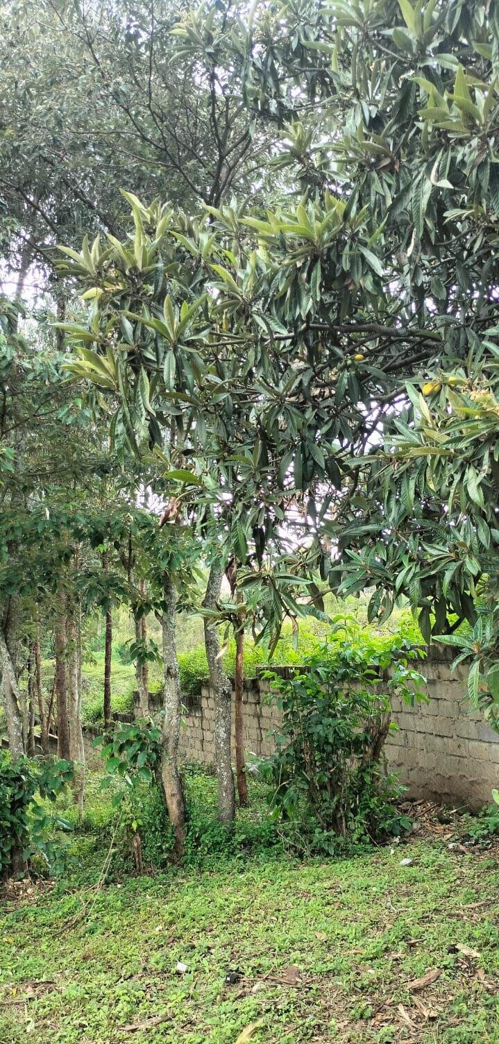 2.5-Acre Land for KSh 50M