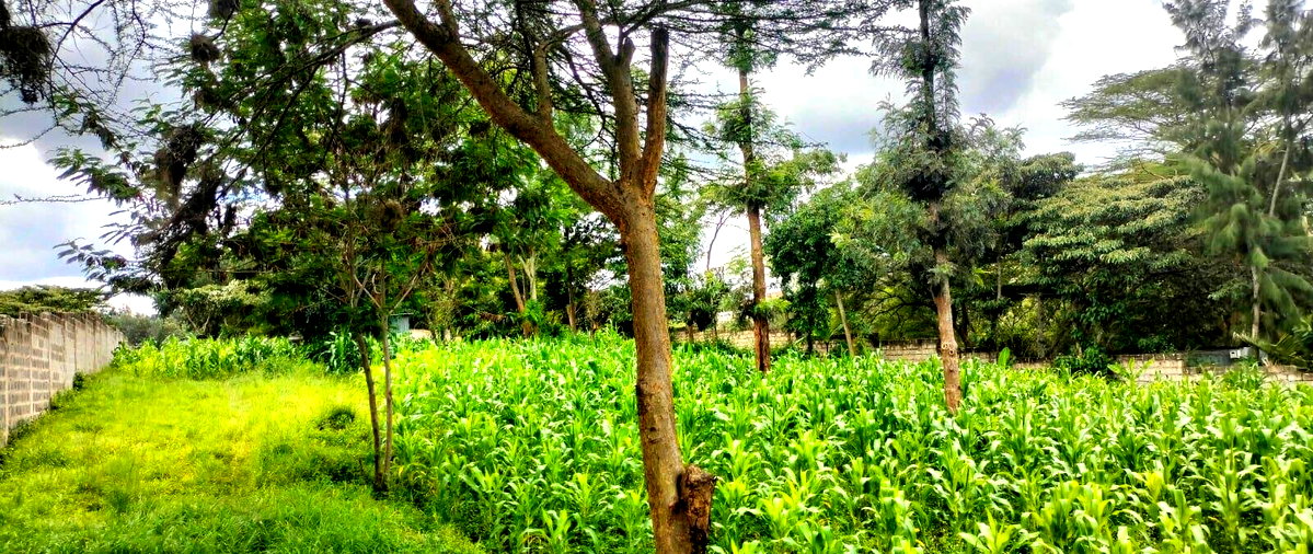 2.5-Acre Land for KSh 50M