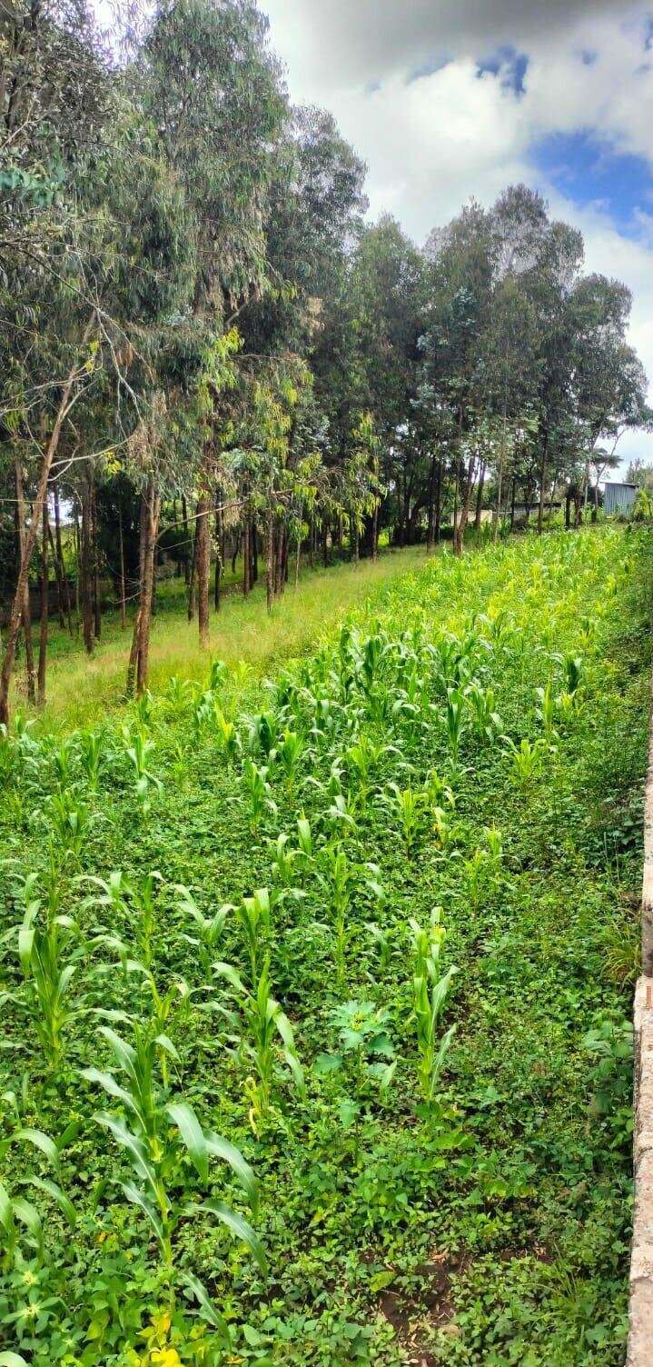 2.5-Acre Land for KSh 50M